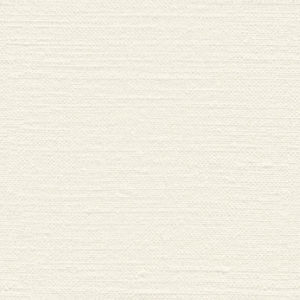 Seamless Canvas Textured Paper Wood River Womens Foundation