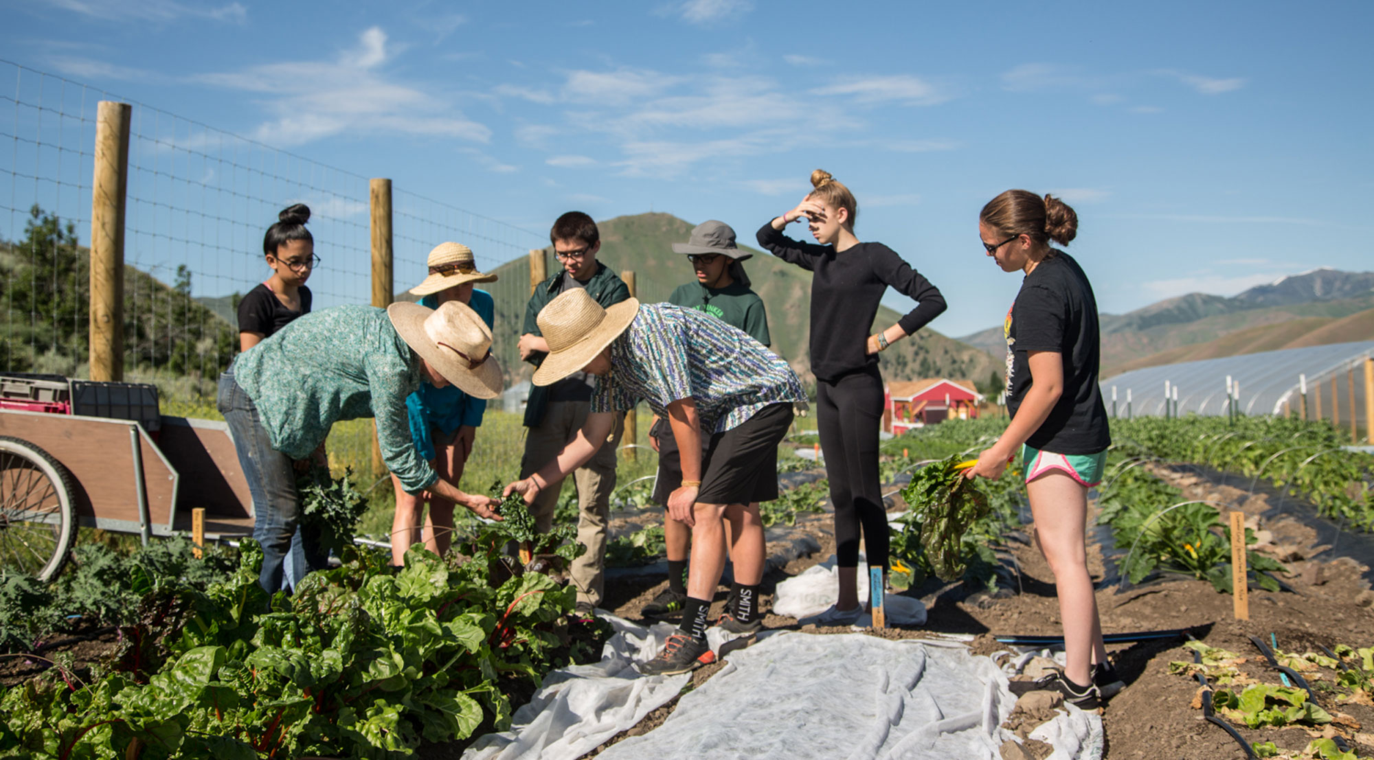 Wood River Womens Foundation Bloom-Youth-Project