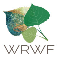 leaf logo Wood River Women's Foundation Sun Valley Idaho